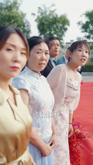 宋总，夫人又闹脾气了（60集）精彩连连免费看